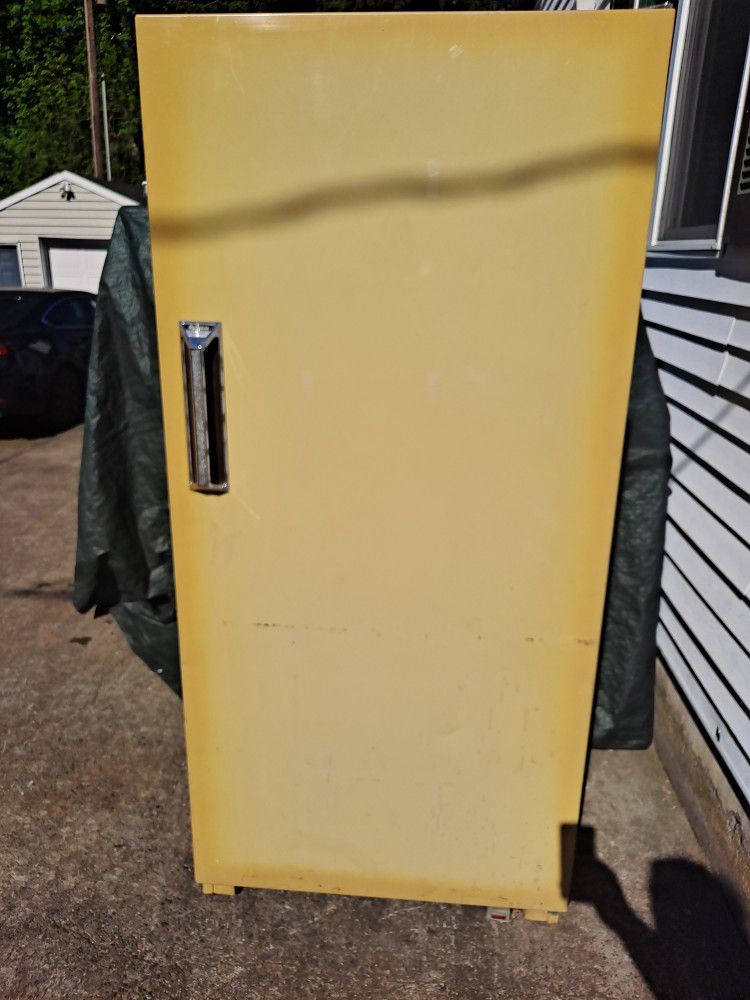 Full Sized Freezer- Can deliver 