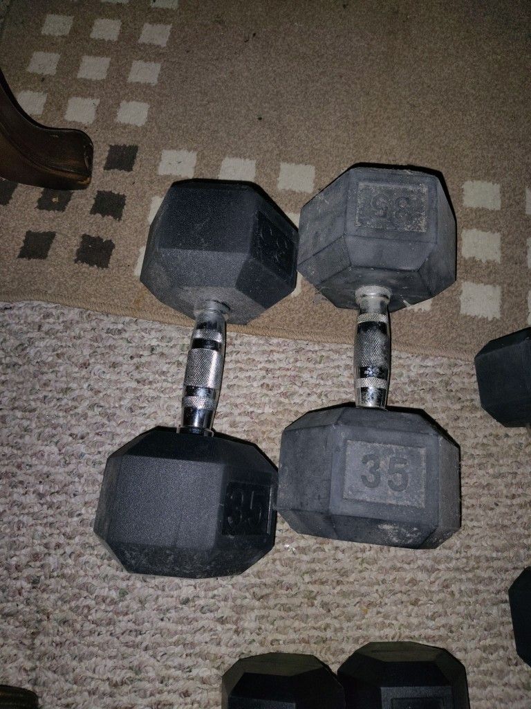 Dumbbell 35 Lb (2)