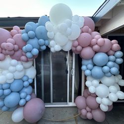Gender Reveal 