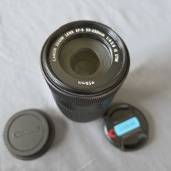 Canon EF-S 55-250mm f/4-5.6 IS STM Telephoto Zoom Lens