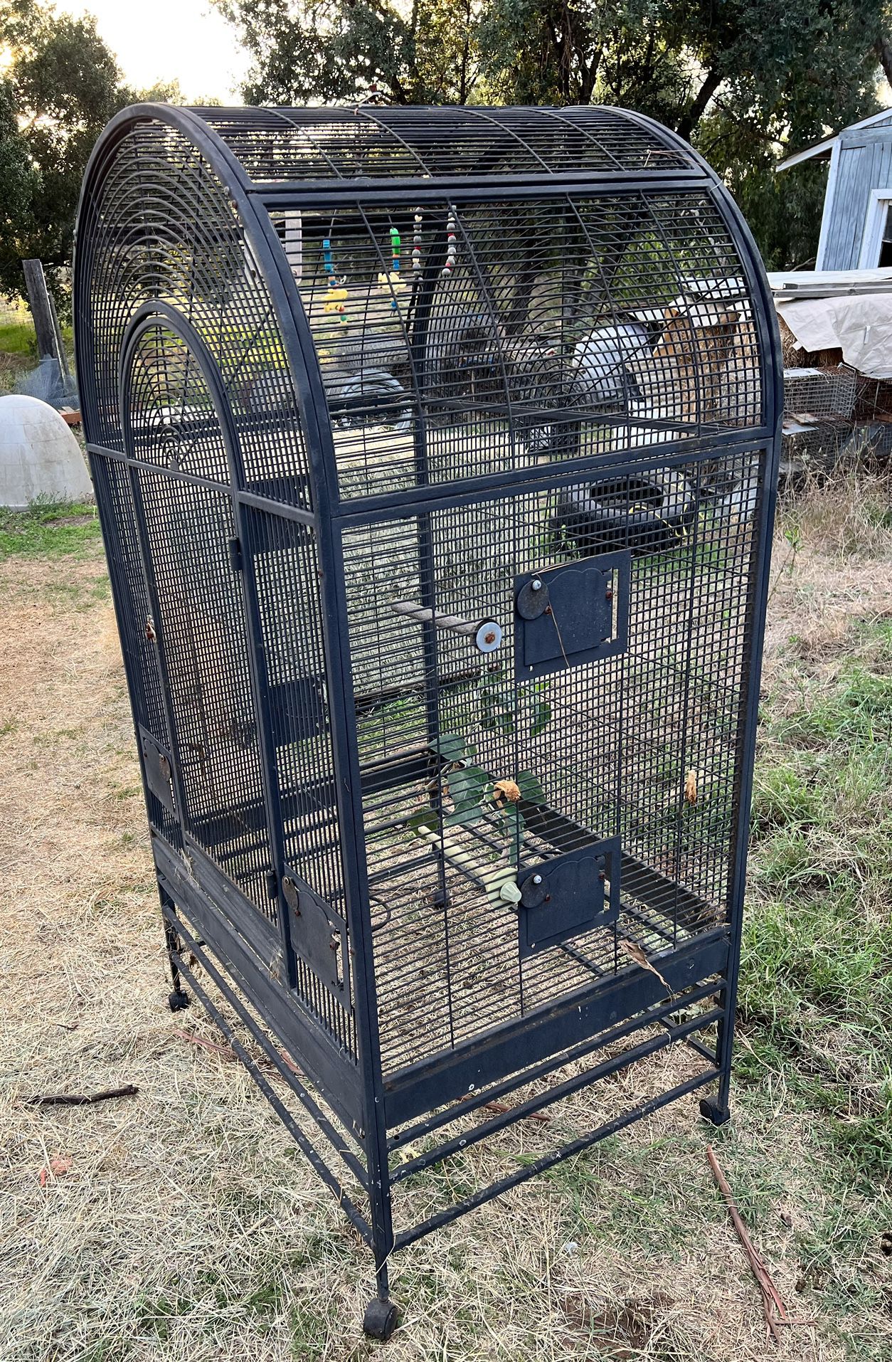 Large  Bird Cages Various Sizes $50 