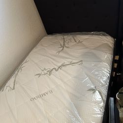 Twin  Bed  With Mattress $180