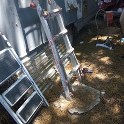 Little Giant Ladder