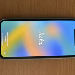 iPhone X 256G，all Carrier 