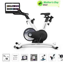 Boom Exercise Bike