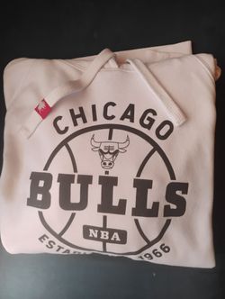 Chicago Bulls Hoodie 2x (Vintage)