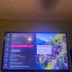 LG 40 Inch TV  (Comes Will Wall Mount) 