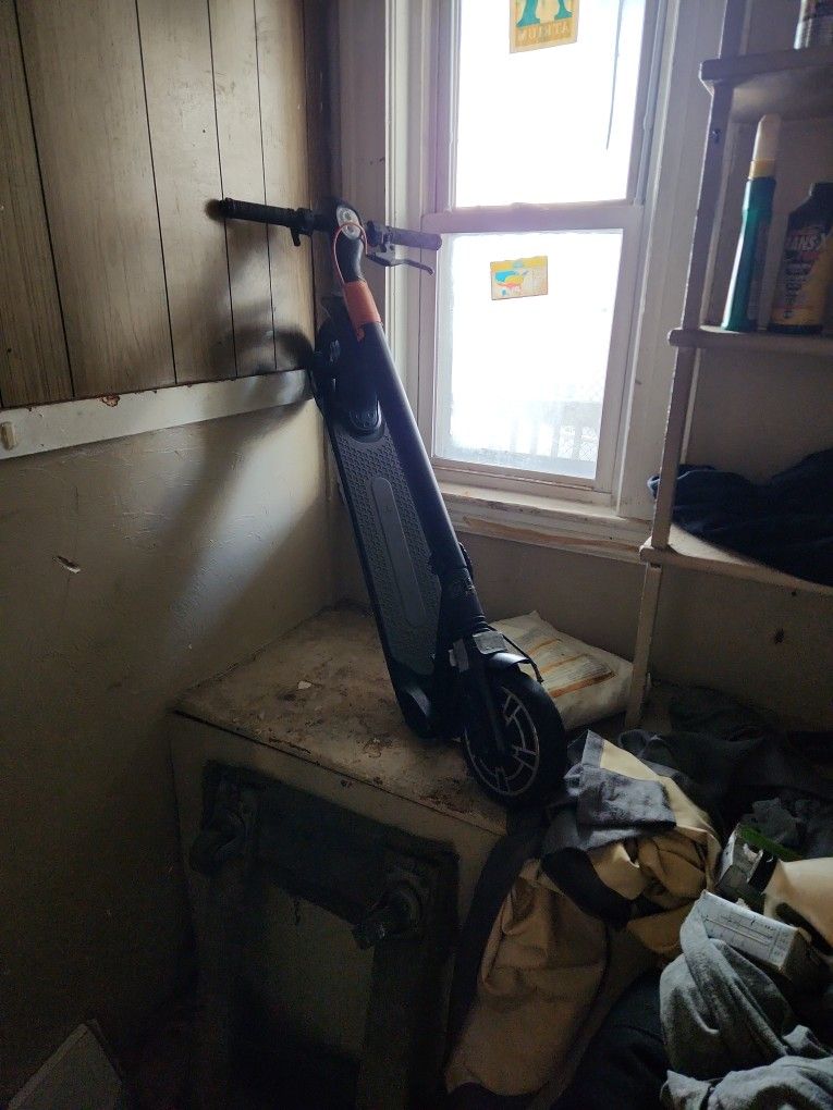 Electric Scooter