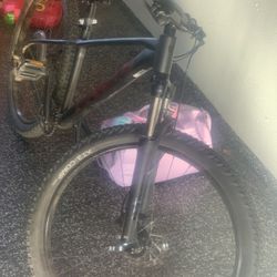 TREK Mountain Bike