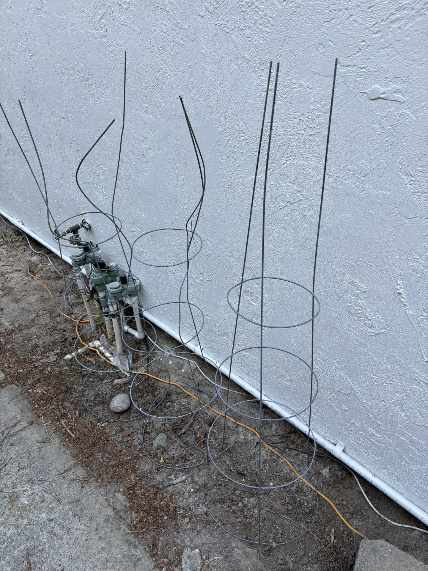 3 Tomatoes Cages