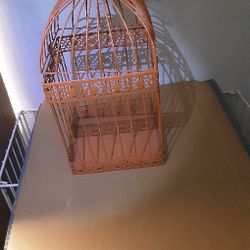 A Orange  Bird Cage 