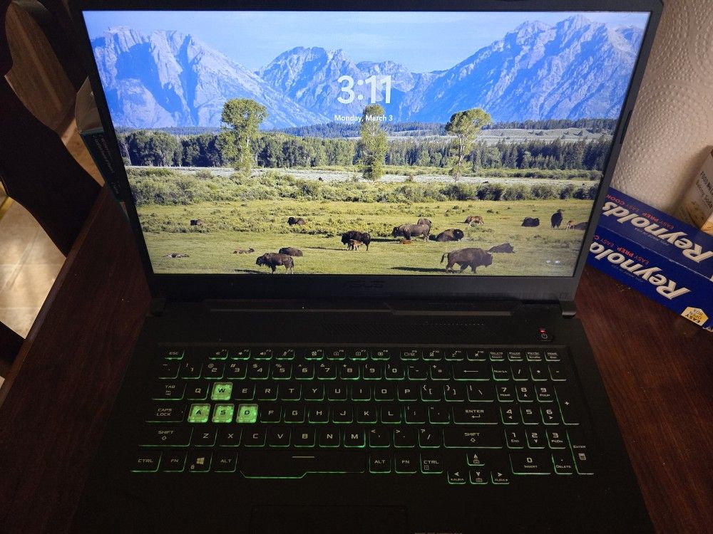 Asus Tuf F17 Gaming Laptop Combo