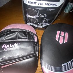 Boxing Mitts