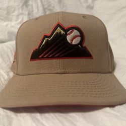 Fitted Hat