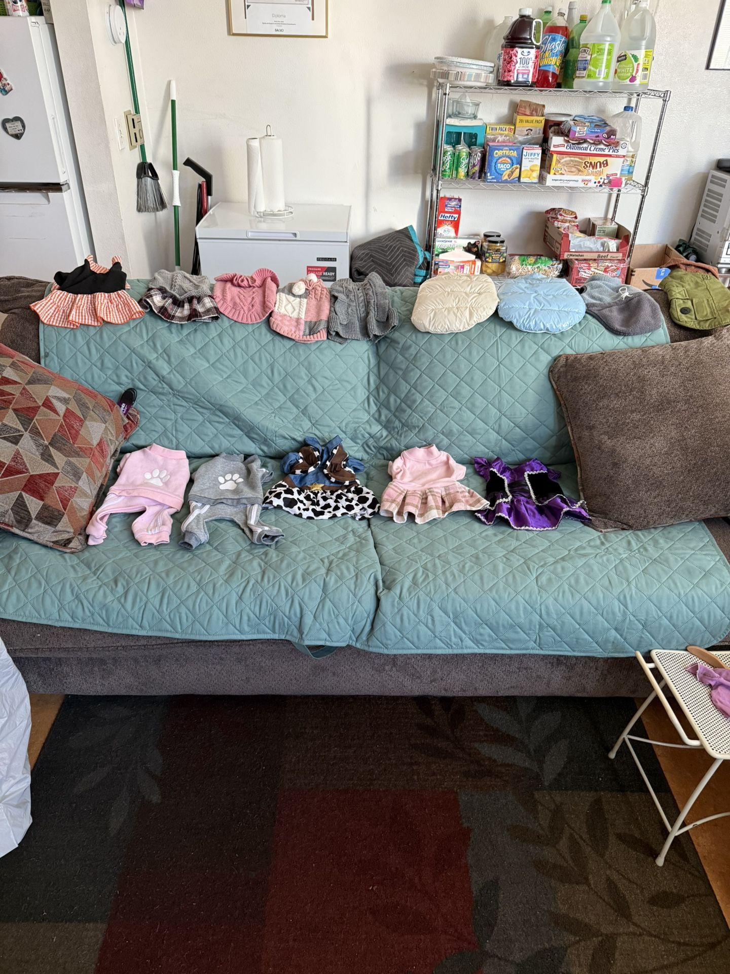 Xs & Small Doggy Clothing