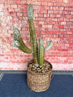 Artificial Cactus In Pot Large 