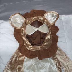 Lion Costume