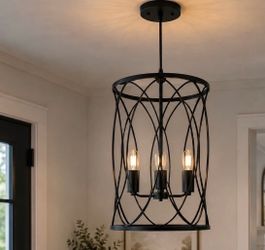 Black Metal Cage Pendant Chandelier Light