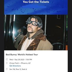 Bad Bunny Ticket Good Seat 