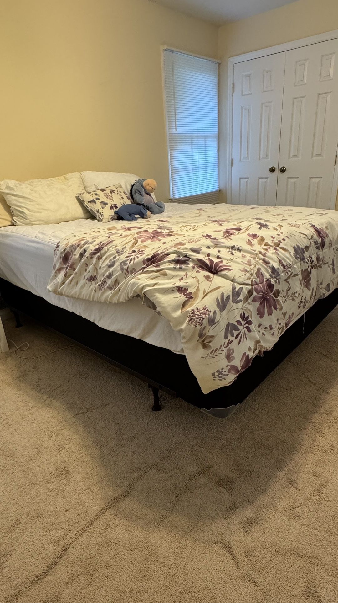 Queen Bed