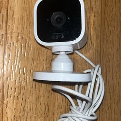 Blink mini cámara