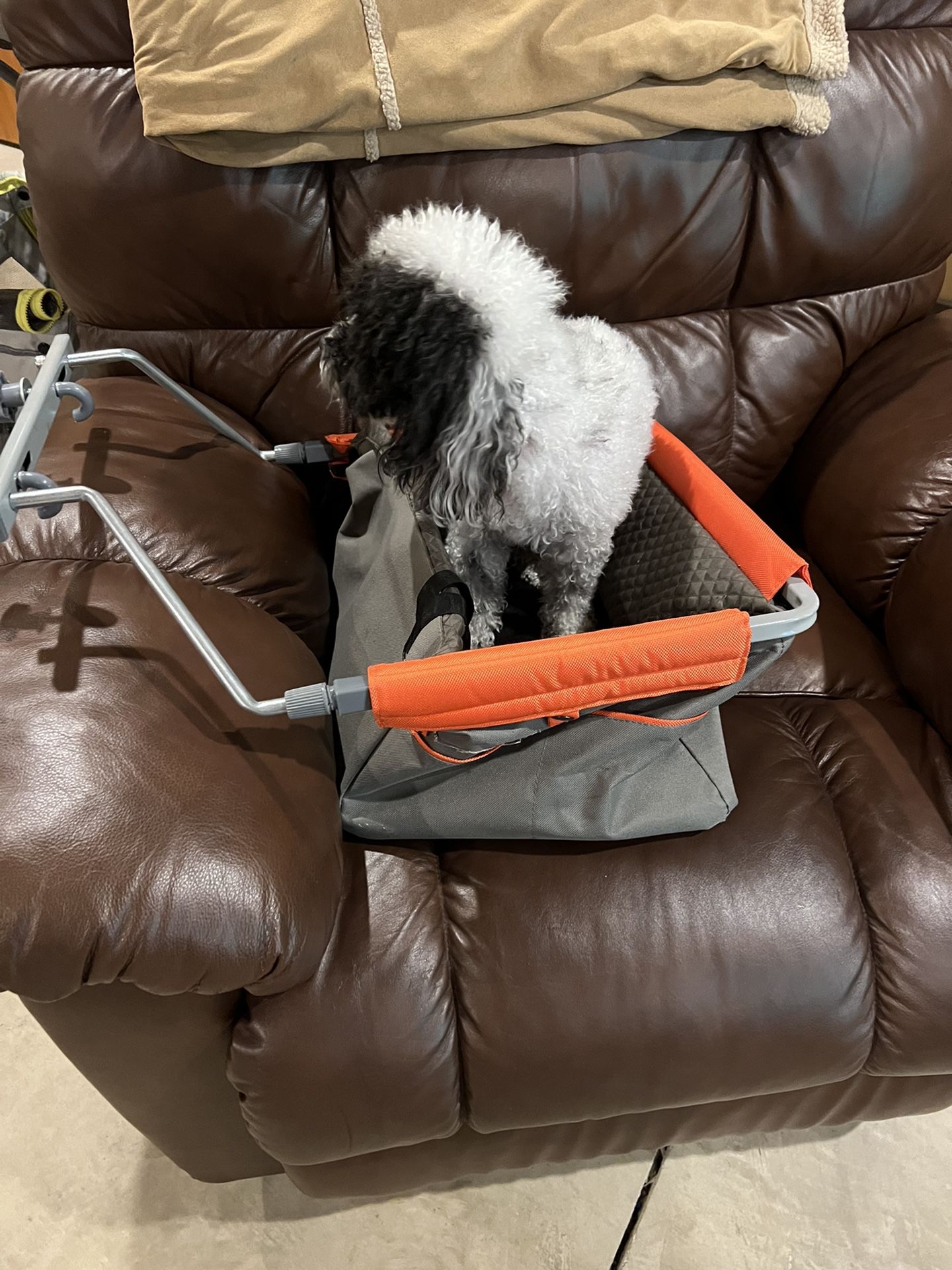 Dog Booster Seat . 