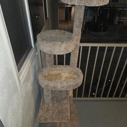 Cat Condos