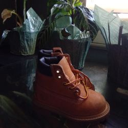 Baby Timberlands