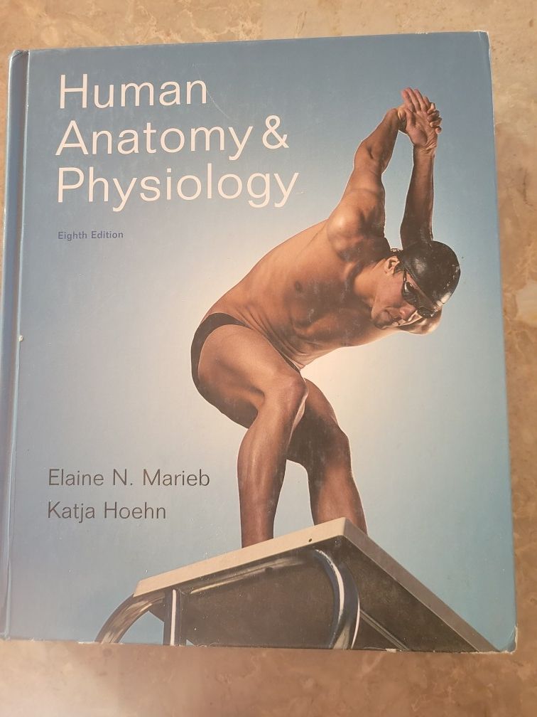 Human Anatomy And  Physiology