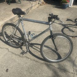Adult Bicycle