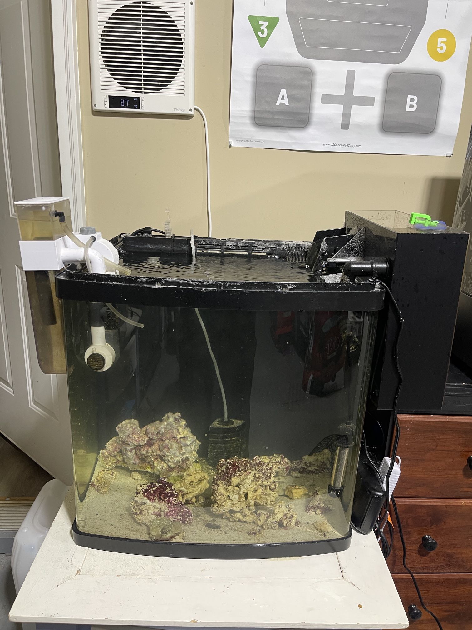 Biocube 32 Reef Tank With Upgrades