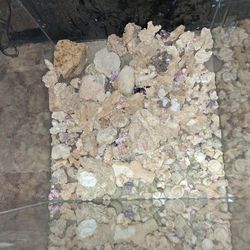 Dry Coral Ruble for a Reef Tank