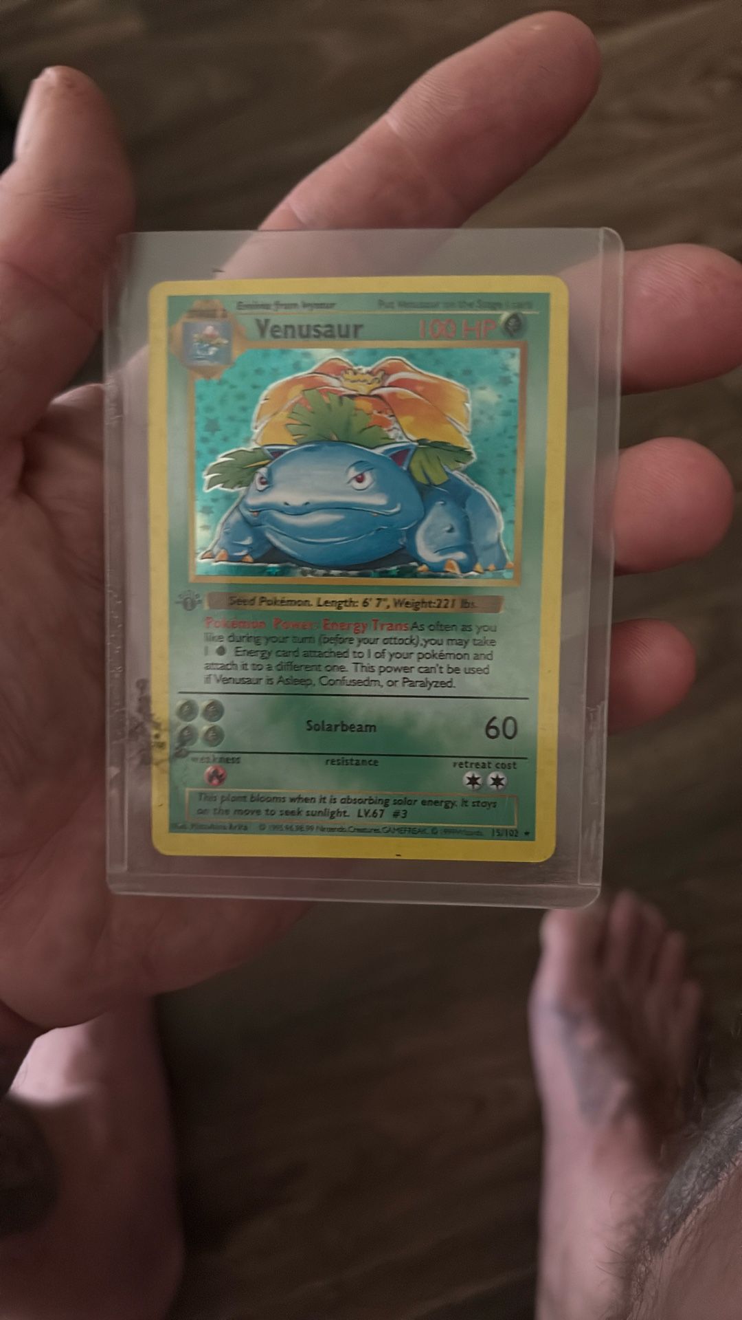 Pokémon Venusaur