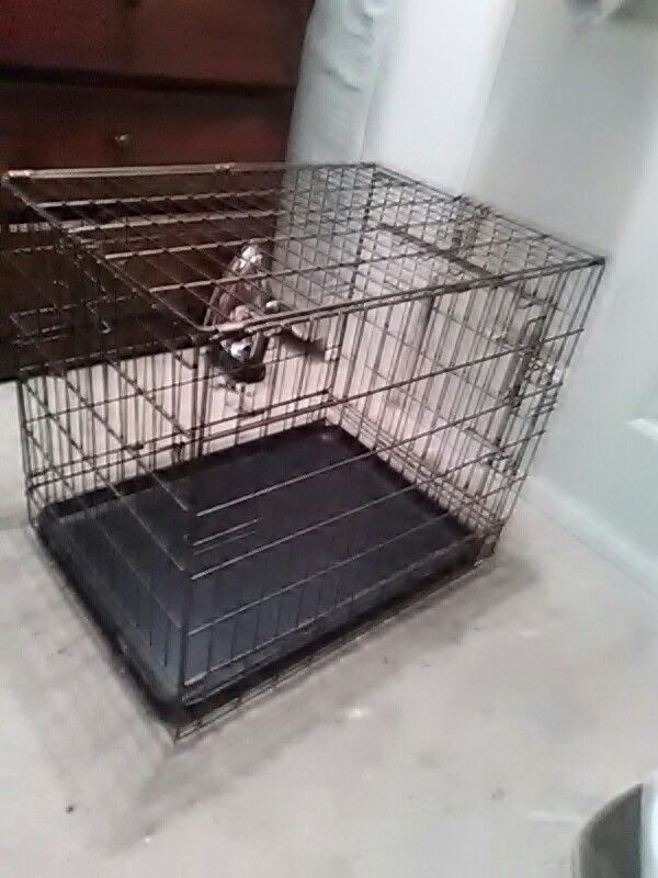 Cage for dog, cat, big parrots classifieds any pet. And folds,