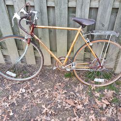 Vintage Murray Citation Series Bike