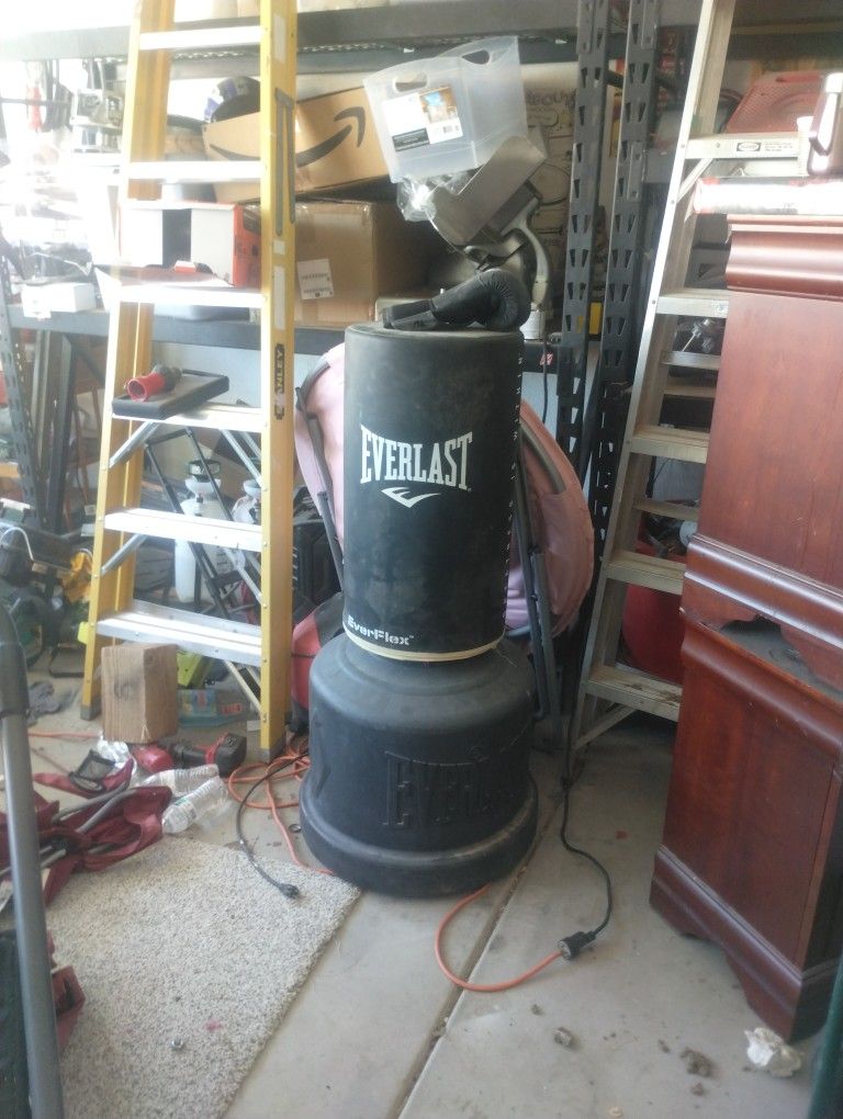 Standing Punching Bag