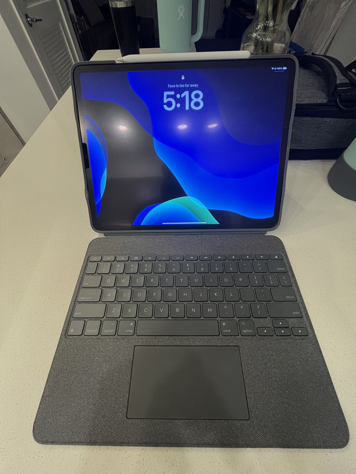 iPad Pro 12.9inch 5th Generation (256GB)
