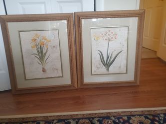 Beautifully Framed Floral Pictures