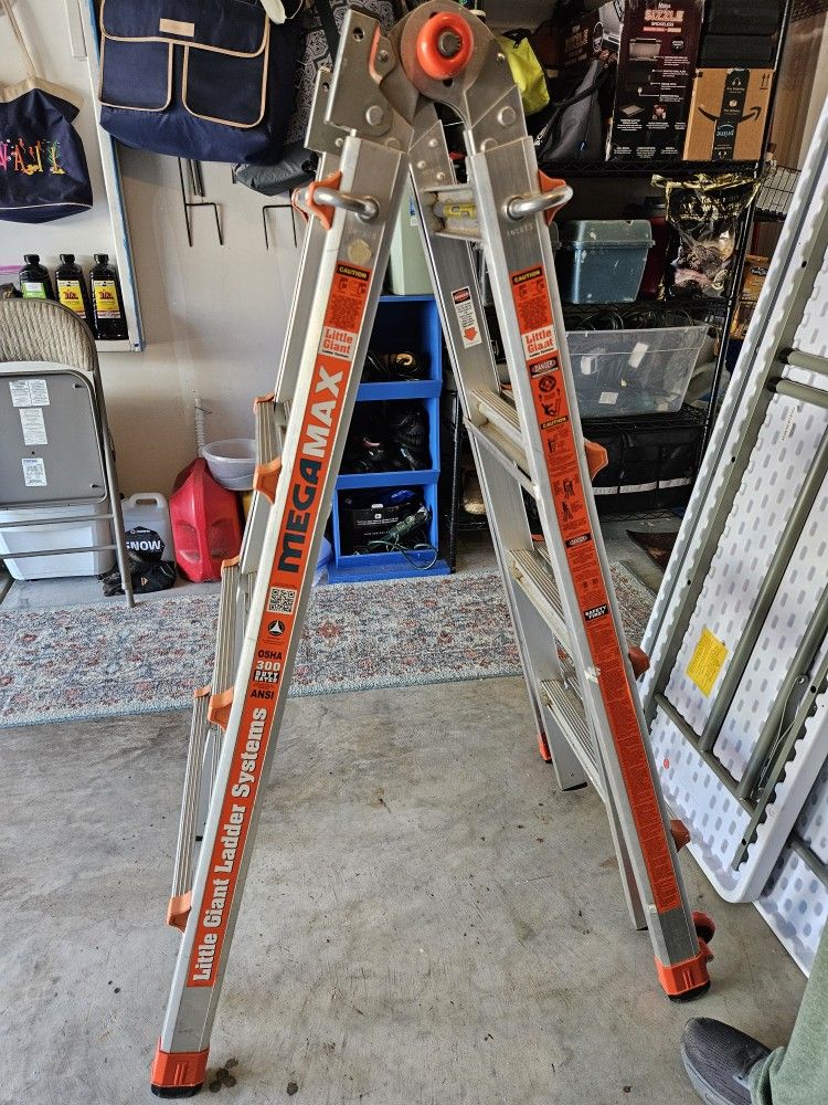 Little Giant Ladder