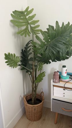 Fake plant