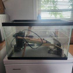 10 Gallon Tank