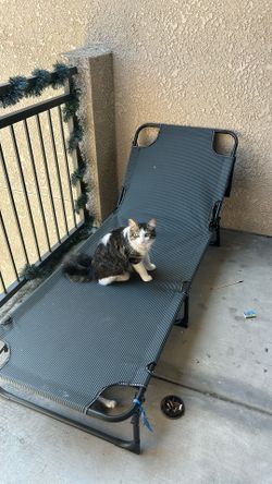lawn chair