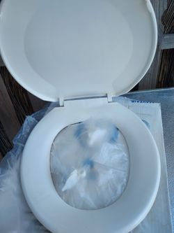 Toilet seat