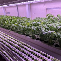 Mobile Organic Growing Systems 