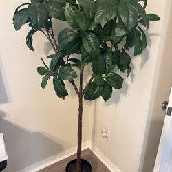 artificial plant