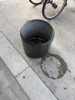 Fire pit (washing machine drum)