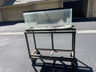 Dual Tank Rack