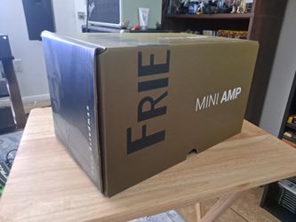 Friedman mini amp