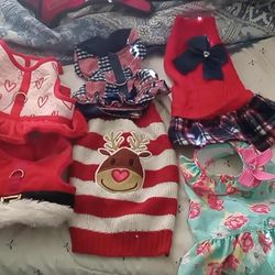 Chihuahua, Small Dog Clothes