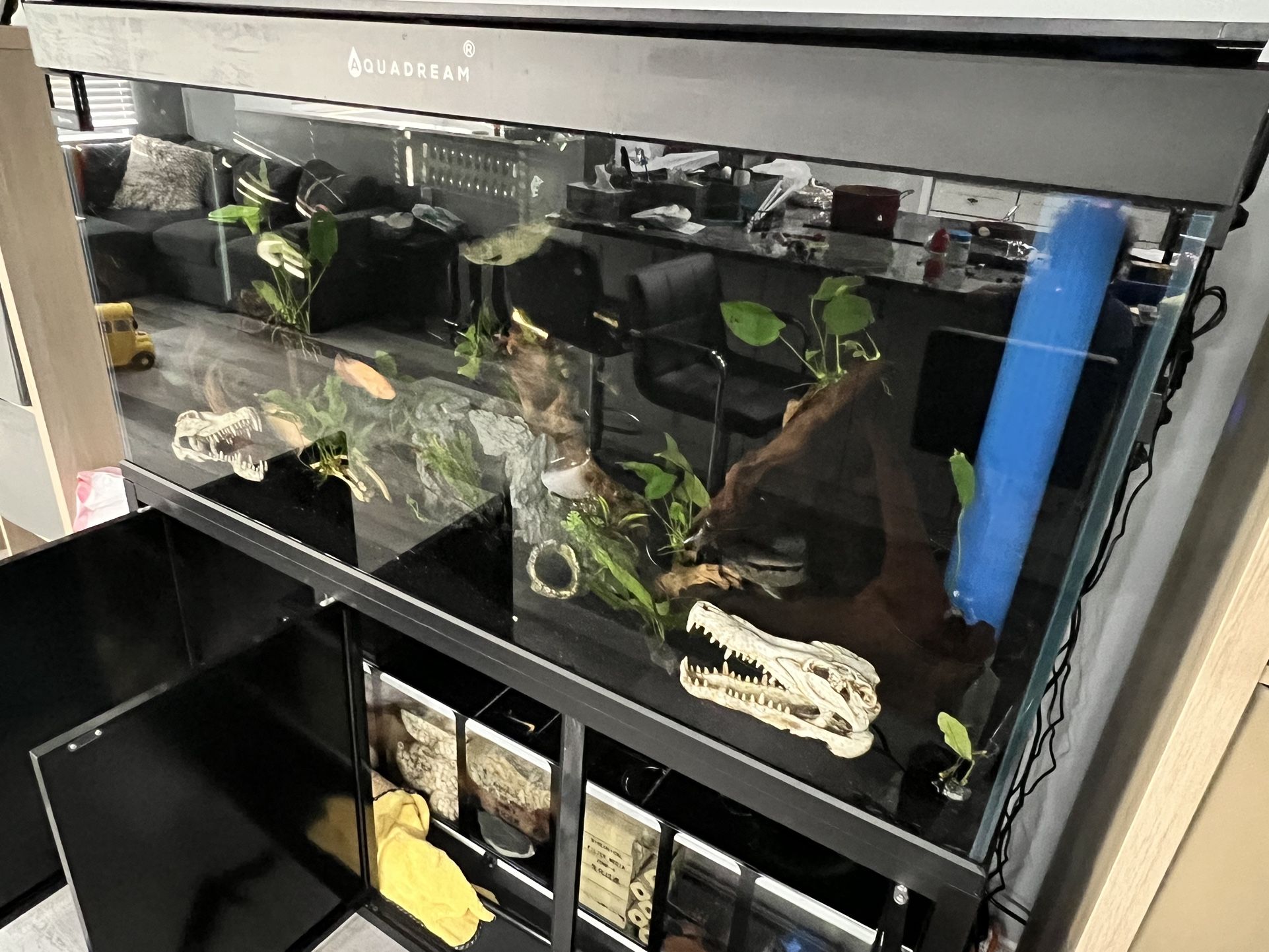 175 Gallon Aquarium 59” X 30” X 19” -$1500